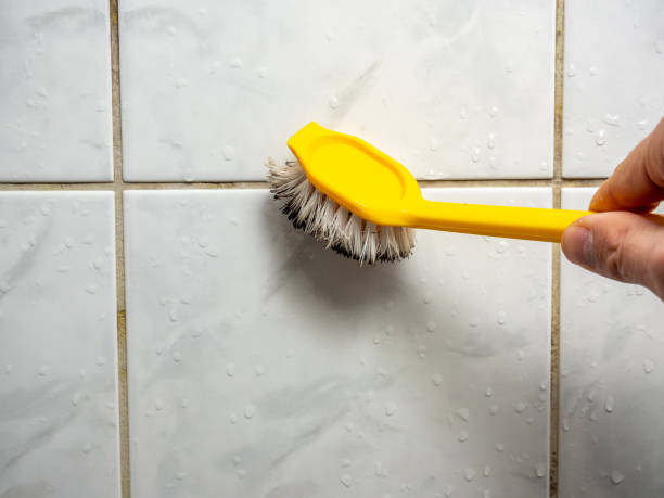 Best Black Mold Remediation in Dewitt, IA
