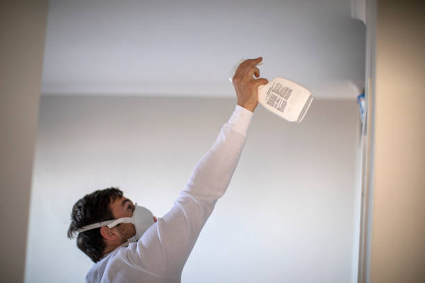 Best Kitchen Mold Remediation in Dewitt, IA