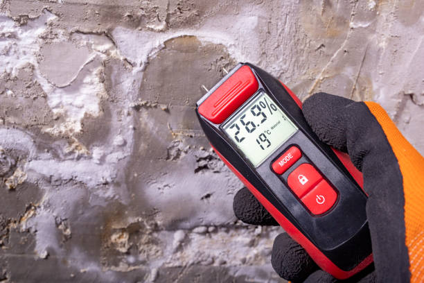 Best HVAC Mold Remediation in Dewitt, IA