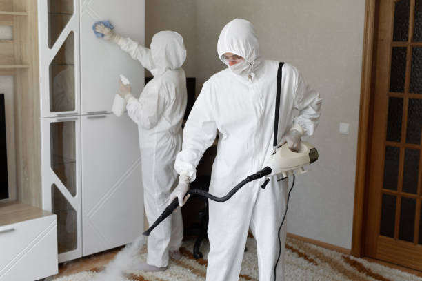 Best Post-Flood Mold Remediation in Dewitt, IA