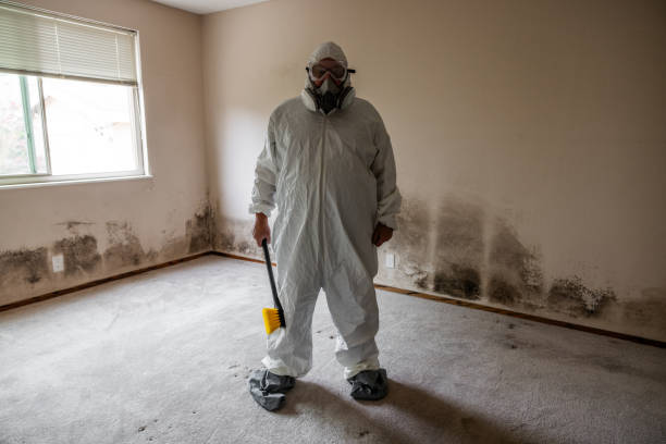 Best Bathroom Mold Remediation in Dewitt, IA